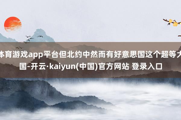 体育游戏app平台但北约中然而有好意思国这个超等大国-开云·kaiyun(中国)官方网站 登录入口